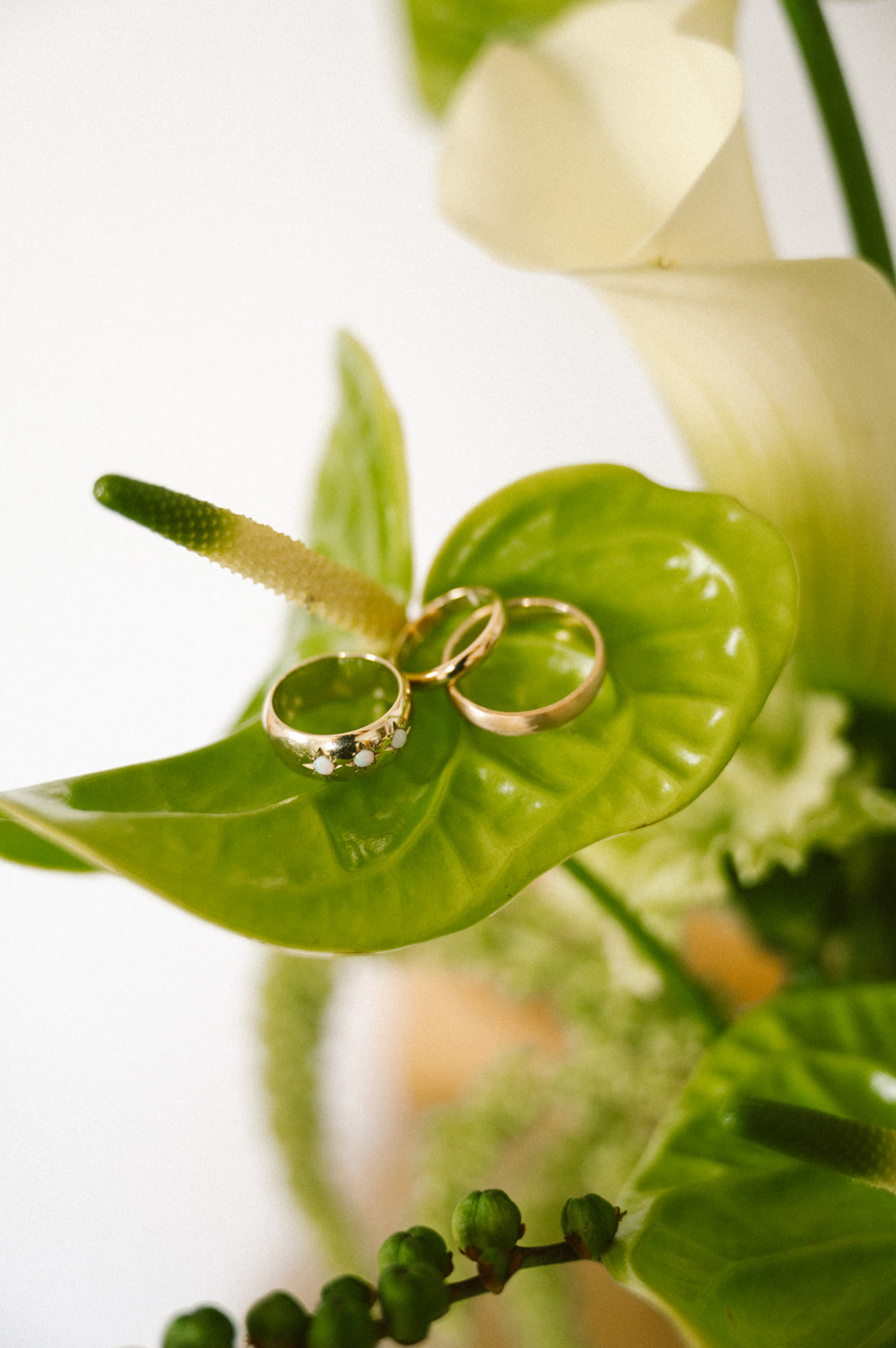 pelican-inn-pawleys-island-wedding-wilmington-nc-kaitlyn-brandon-117_websize