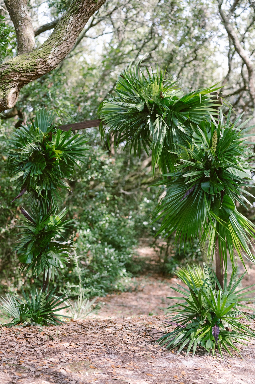 pelican-inn-pawleys-island-wedding-wilmington-nc-kaitlyn-brandon-179_websize