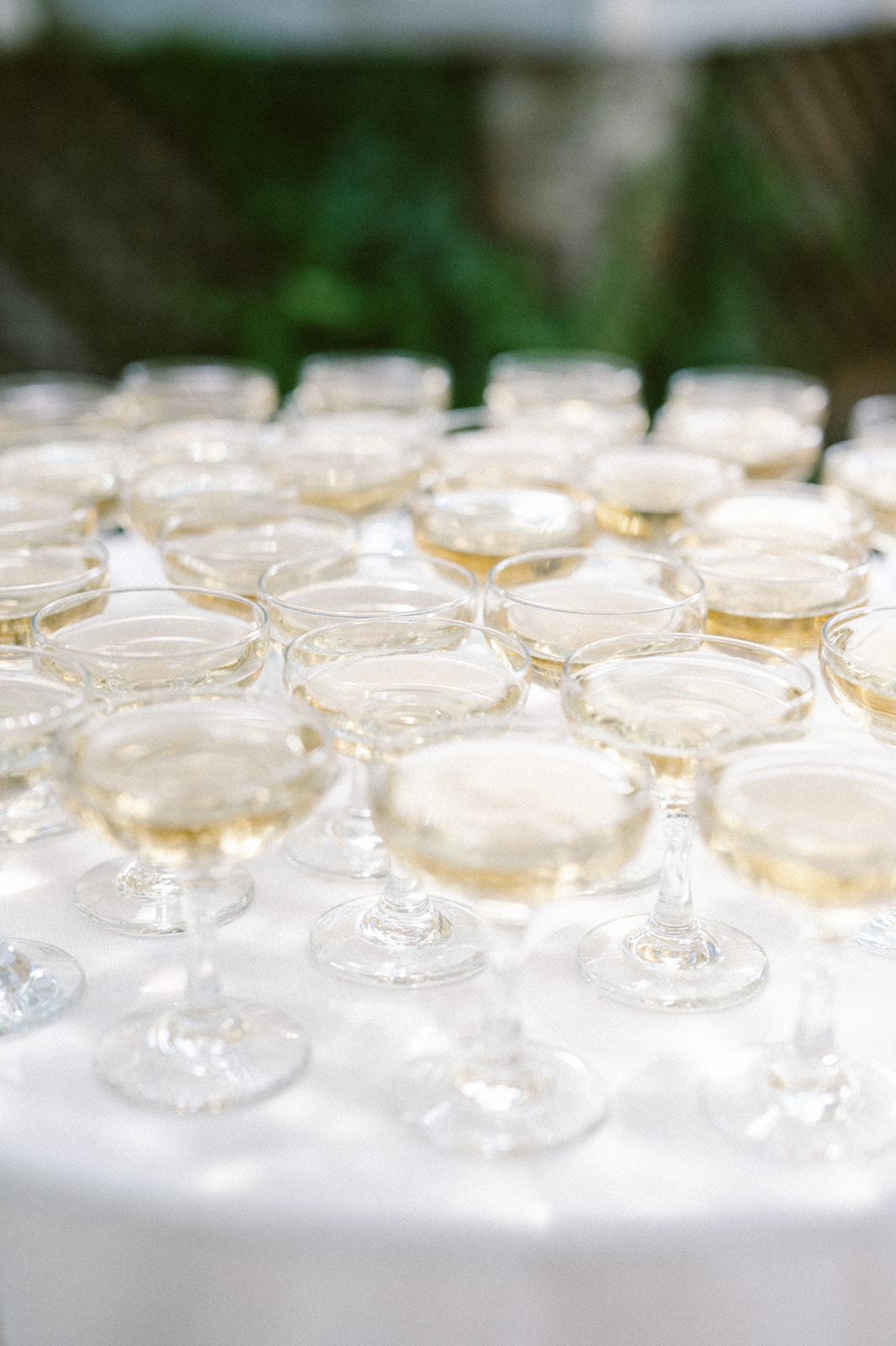 pelican-inn-pawleys-island-wedding-wilmington-nc-kaitlyn-brandon-182_websize