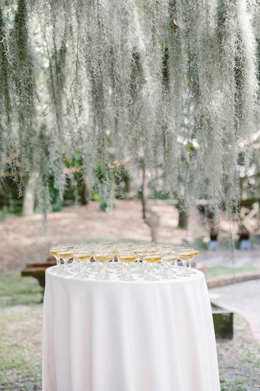 pelican-inn-pawleys-island-wedding-wilmington-nc-kaitlyn-brandon-186_websize