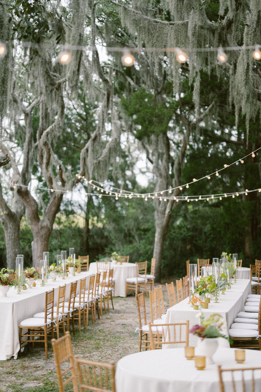 reception under spanish moss