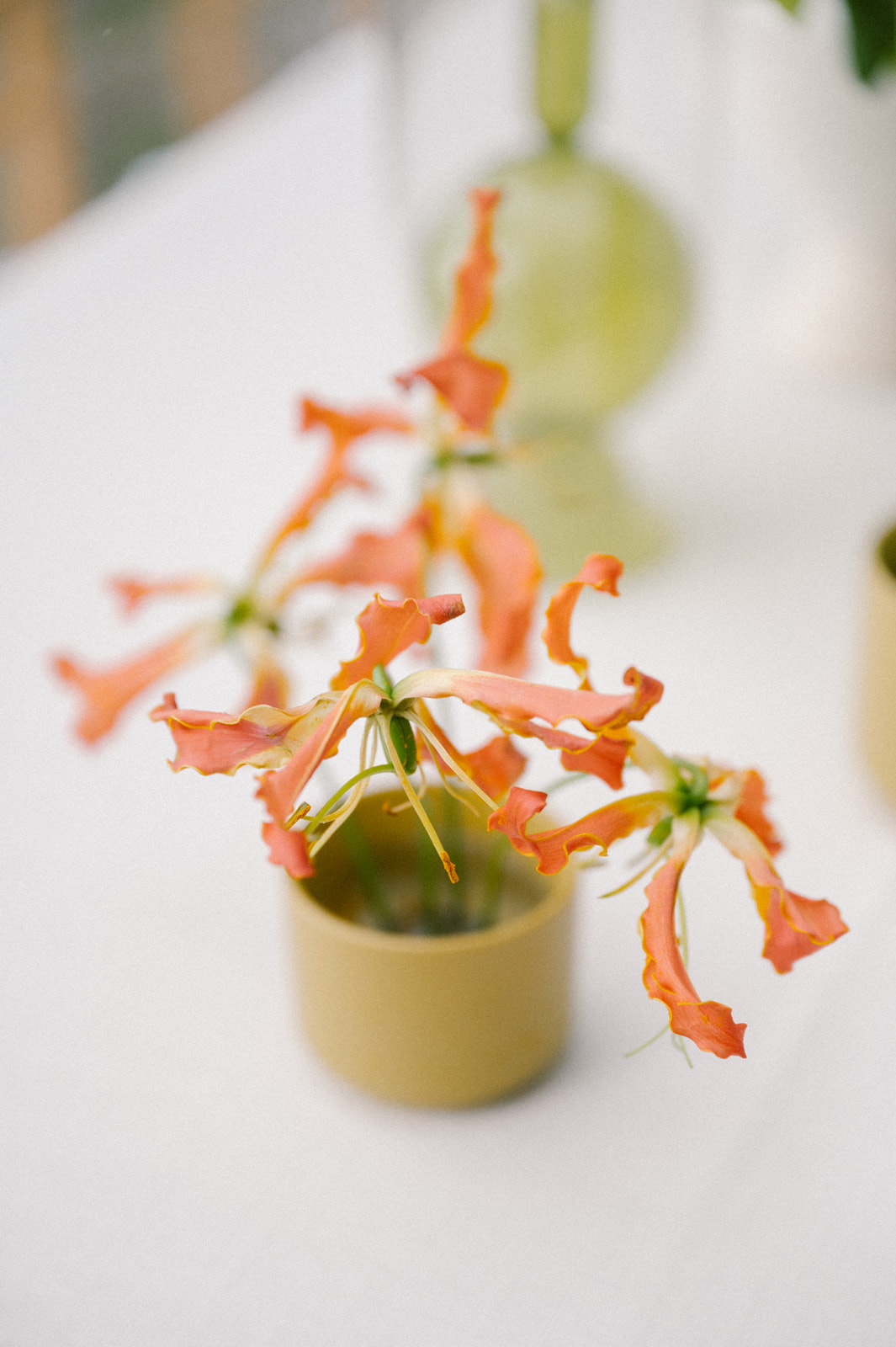 pelican-inn-pawleys-island-wedding-wilmington-nc-kaitlyn-brandon-286_websize