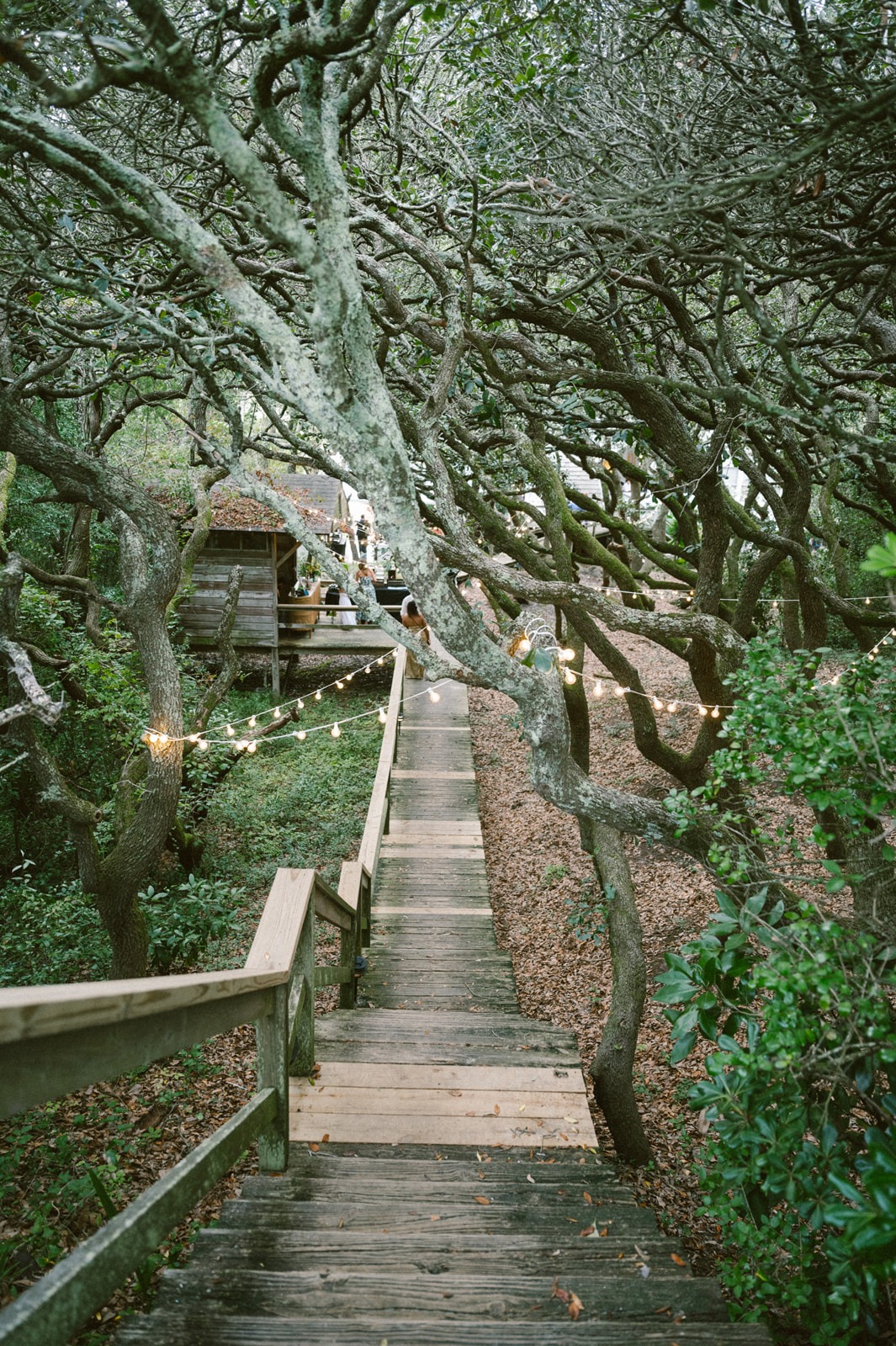 ceremony in the trees