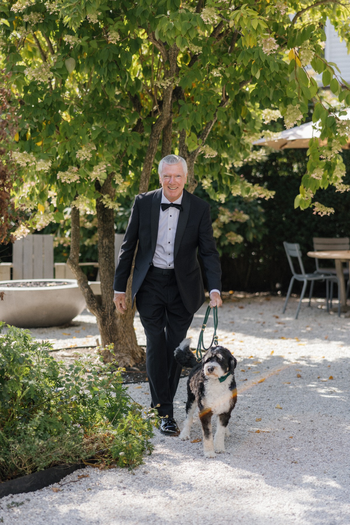 wedding dog