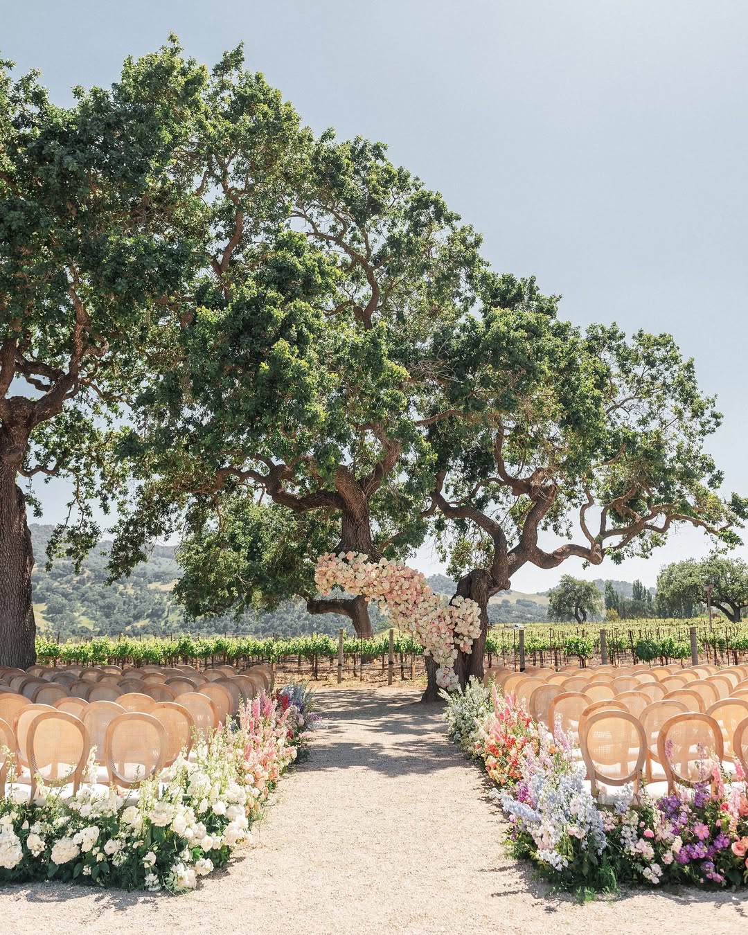 Wedding ceremony overlooking vineyard