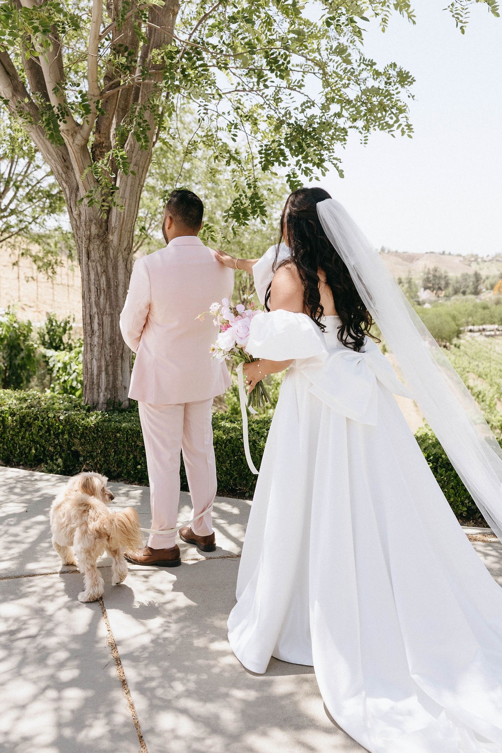 wedding dress with big bow