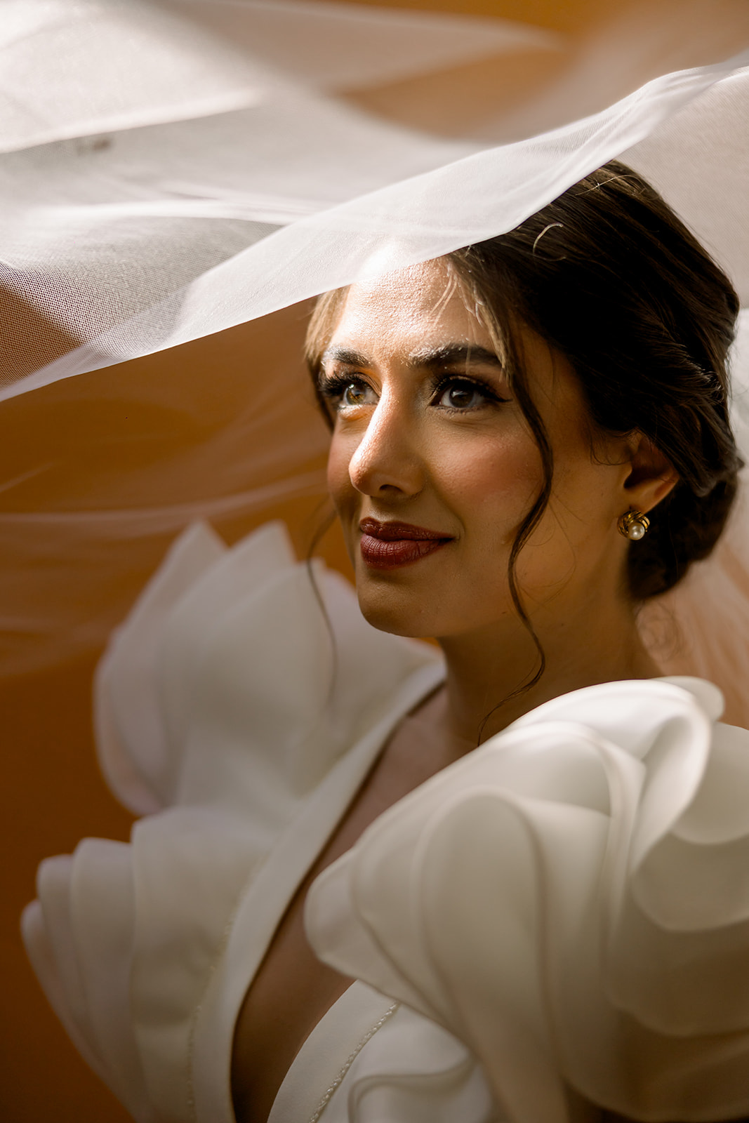 bridal portrait ideas with veil
