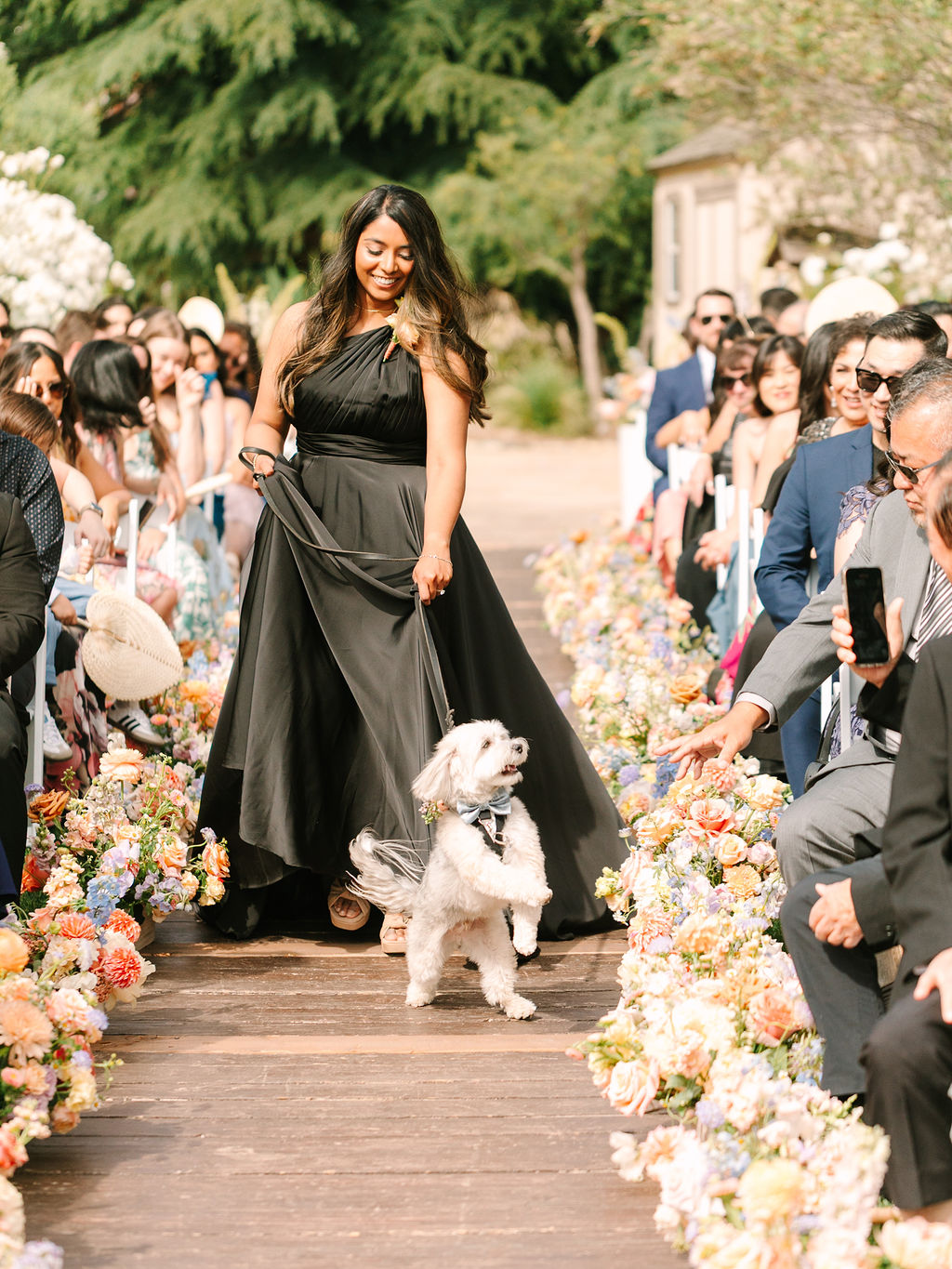 wedding dog bow tie
