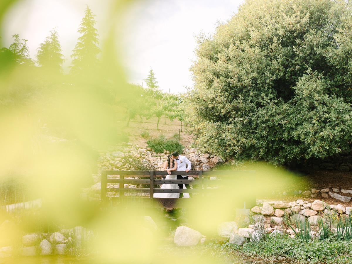 caitidane_020