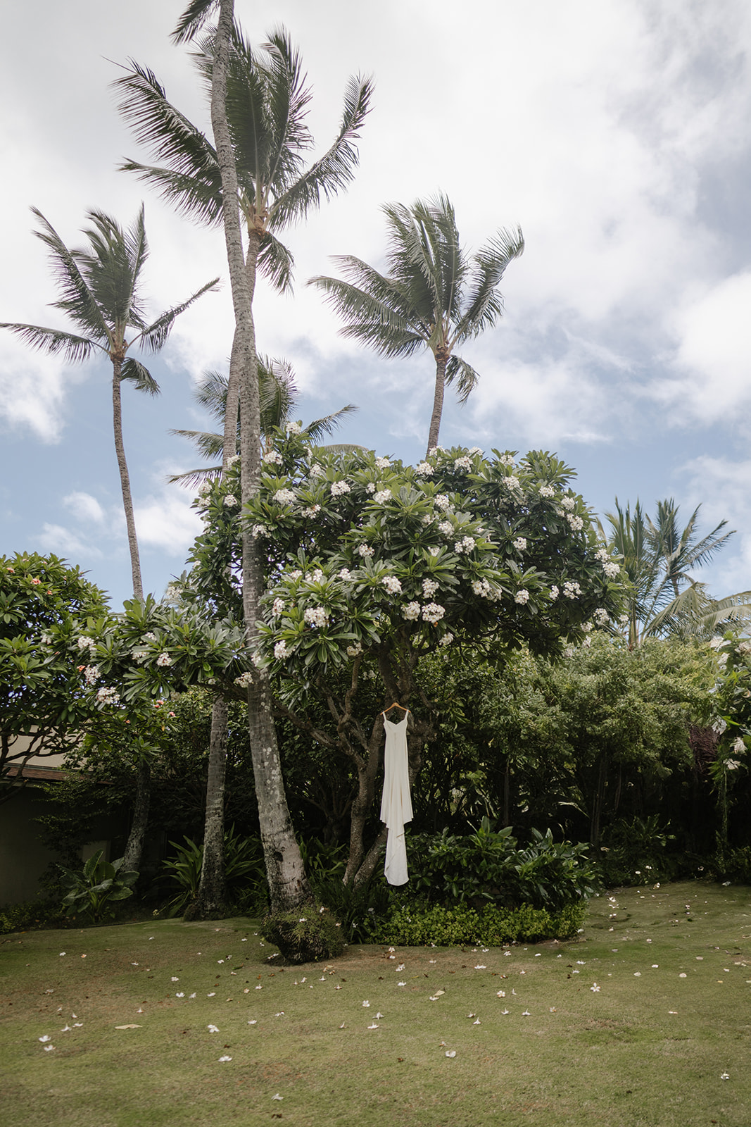 christina_zach_oahu-00694