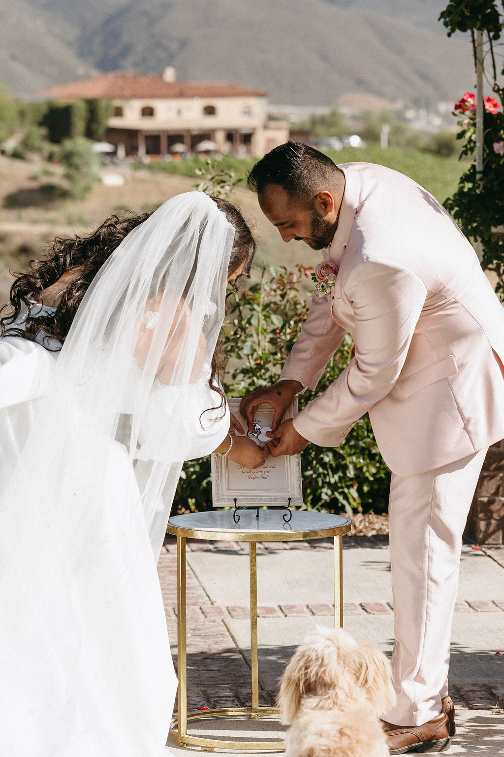 do6a8737-jayalisabeth