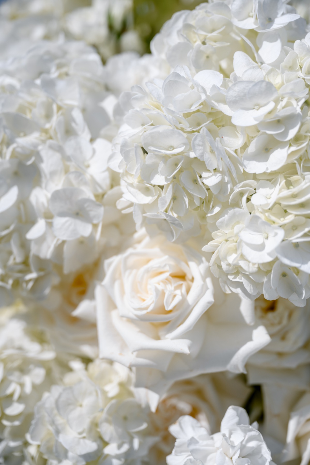 all white wedding flowers