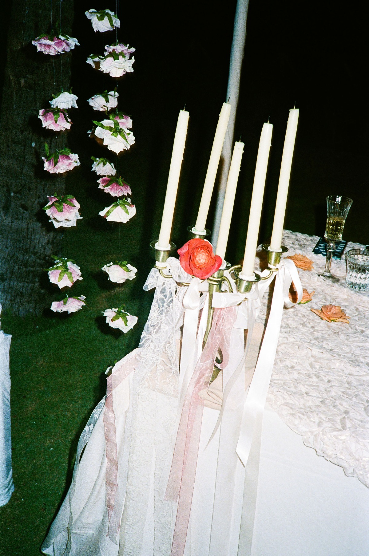 filmwdtaylorxinnuo-18