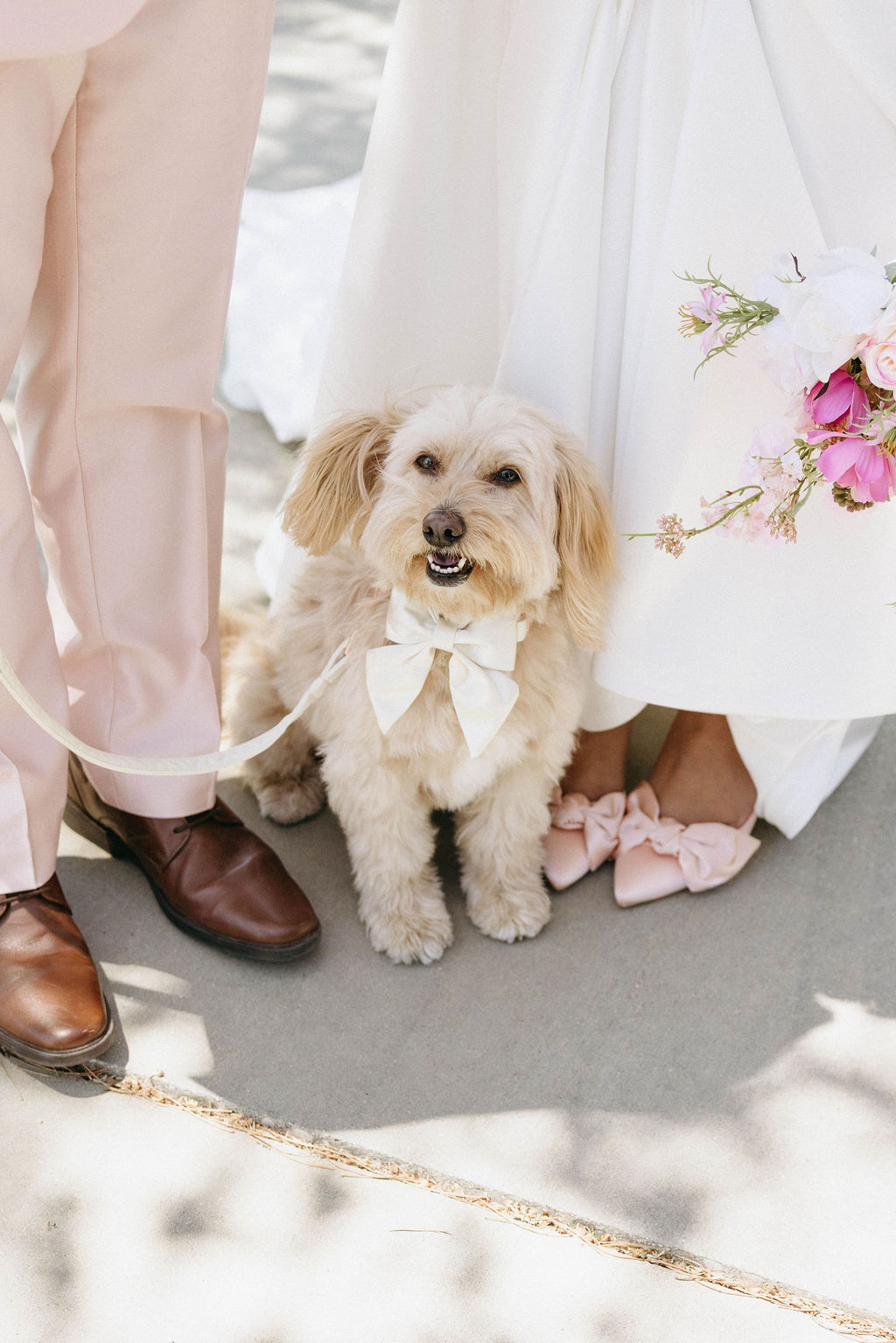 cute dog photo ideas for wedding