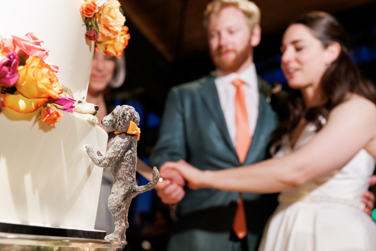 bride and groom cutting cake photo ideas