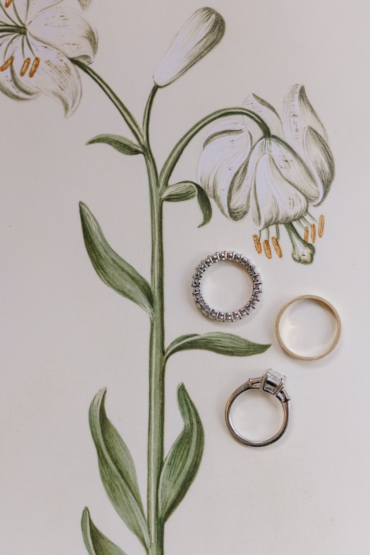 wedding ring photo ideas