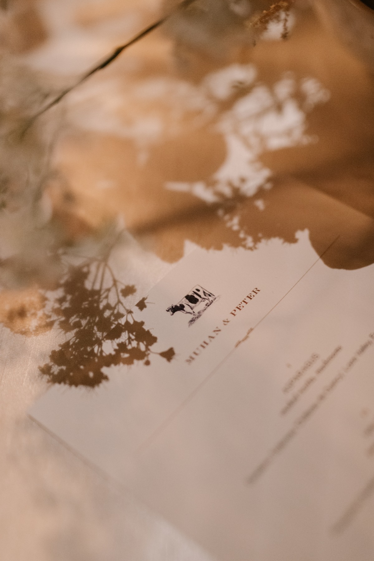 editorial wedding photography