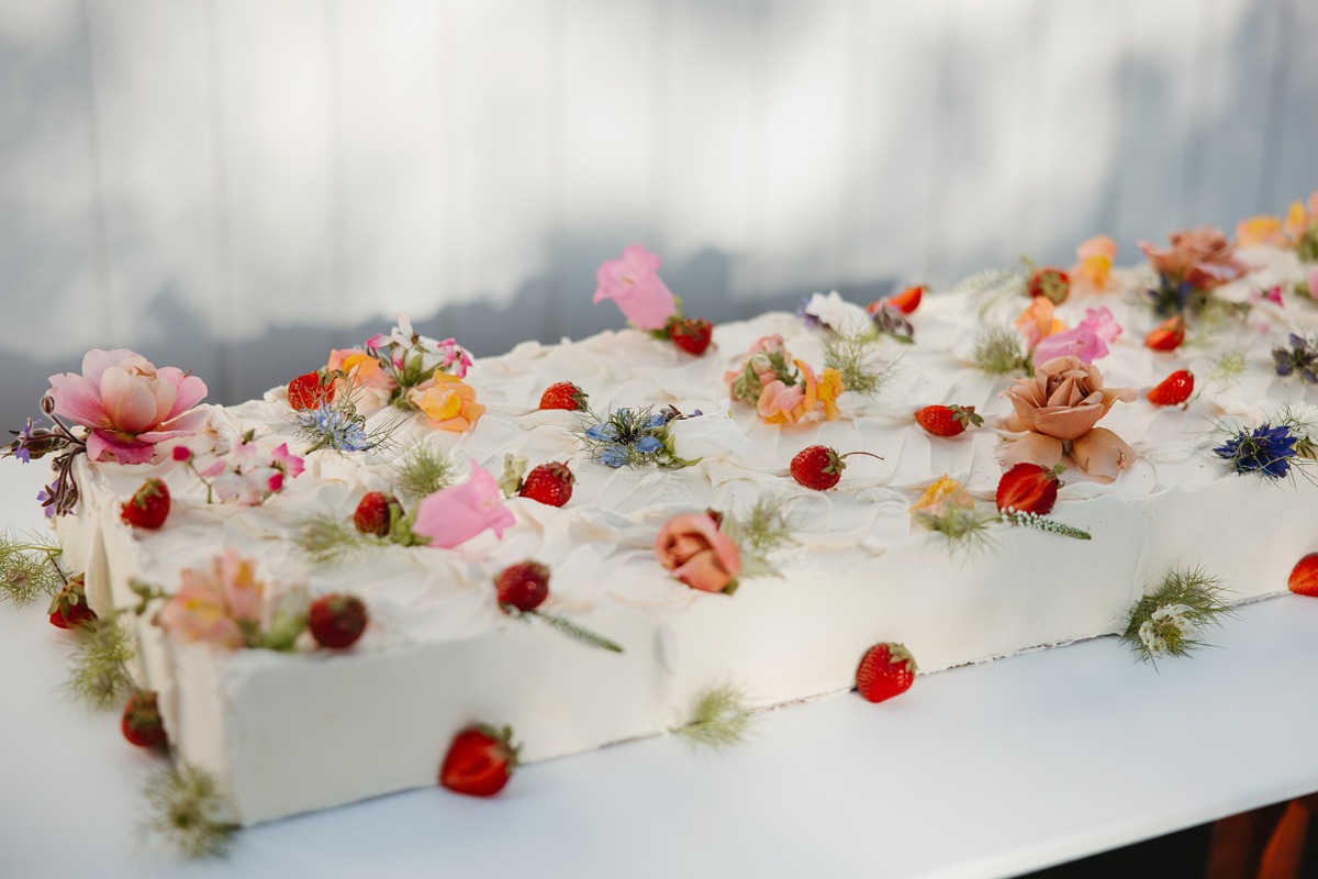 petalumawedding_mgphoto-1036