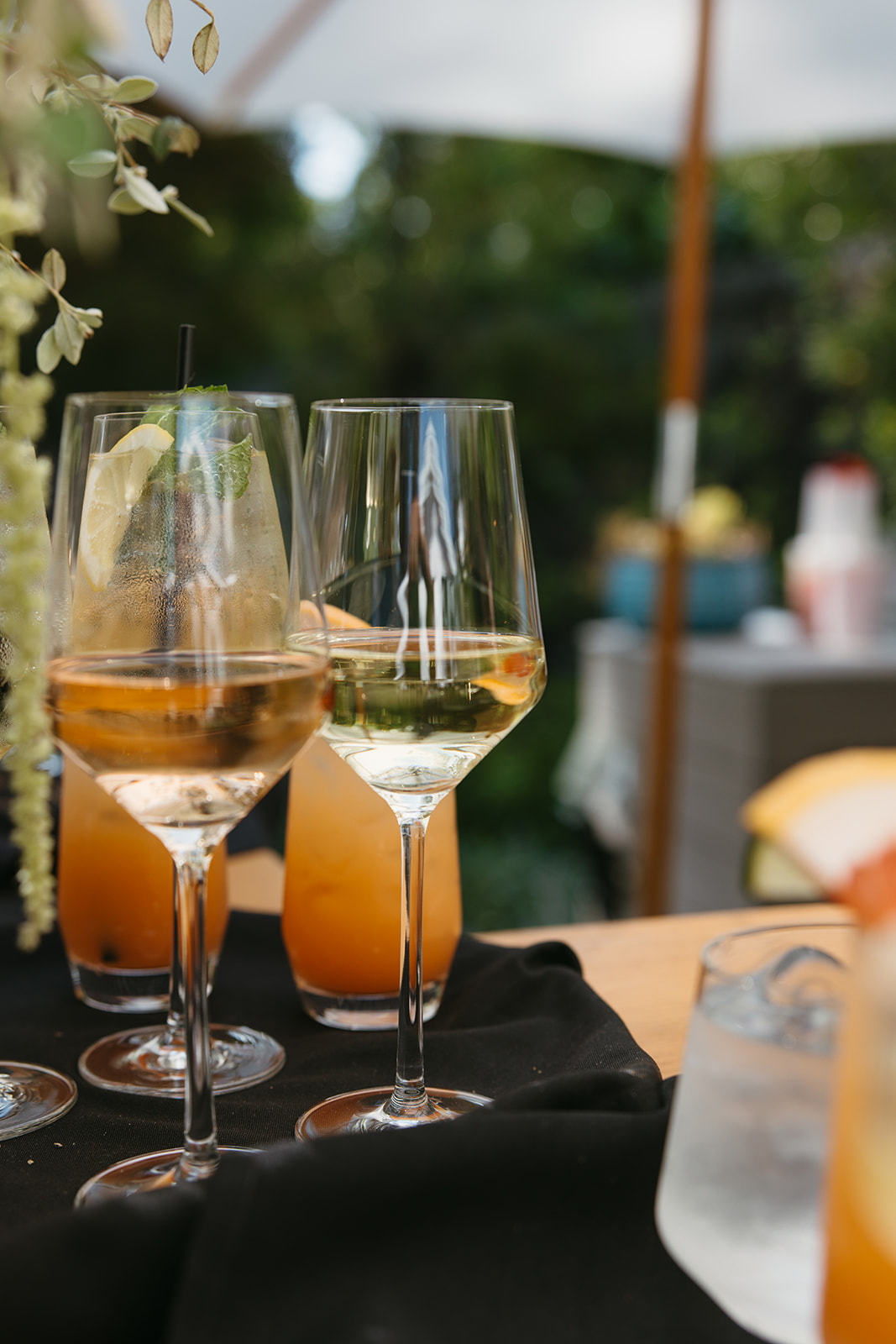 petalumawedding_mgphoto-688