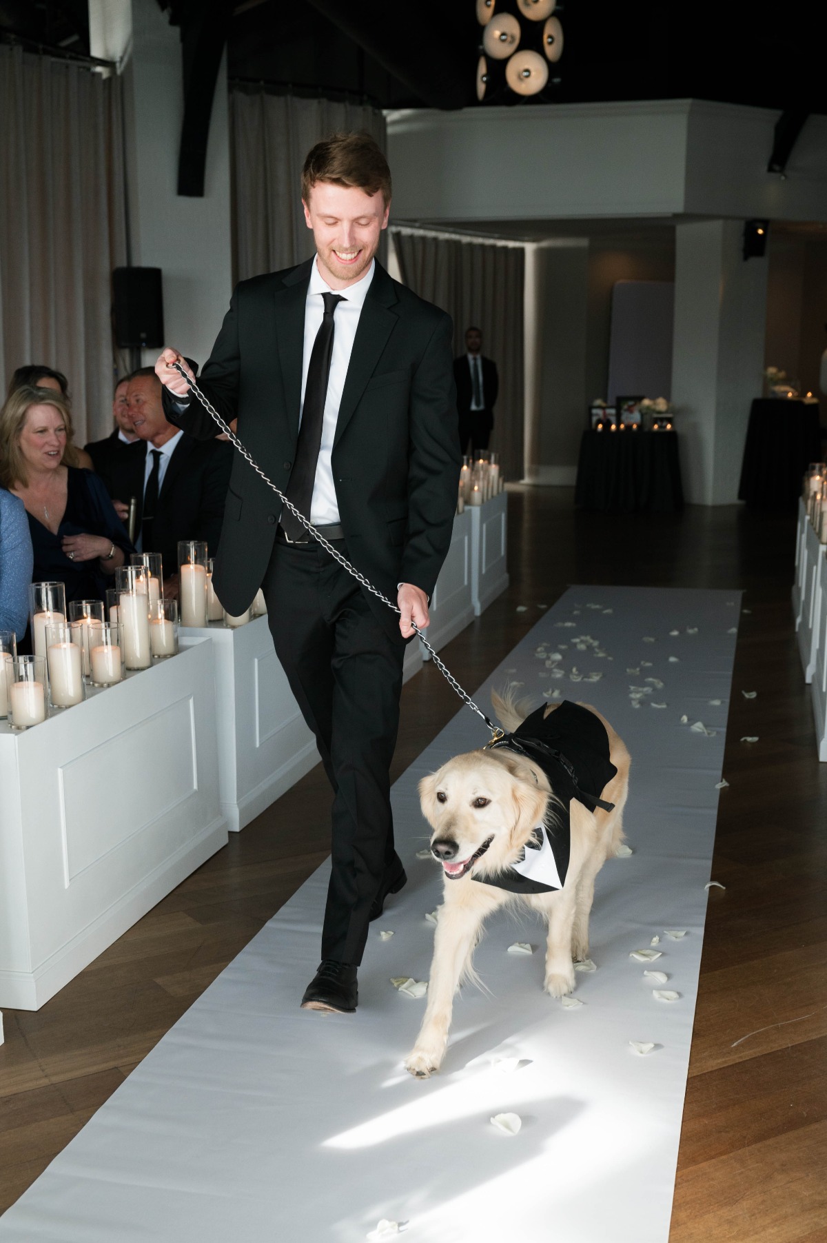 wedding dog tuxedo
