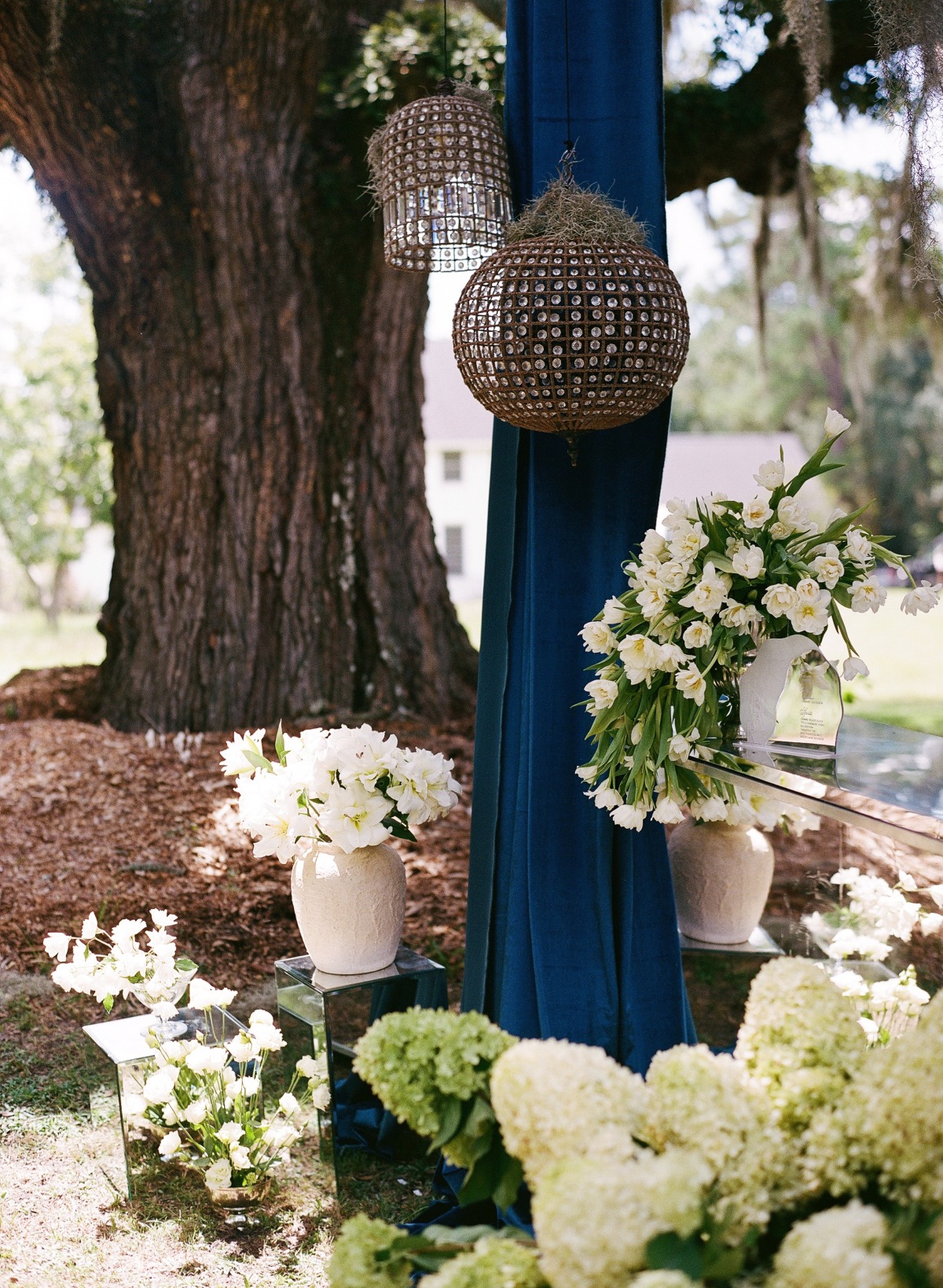 erika-delgado-charleston_editorial-3500