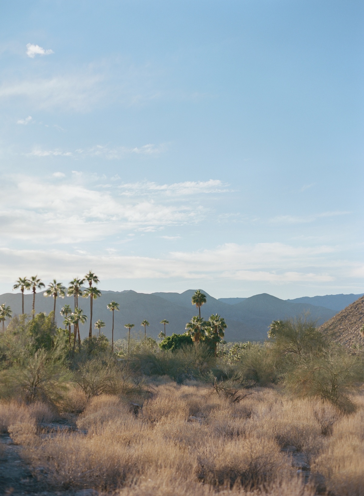 hannah-eric-landscapes-2