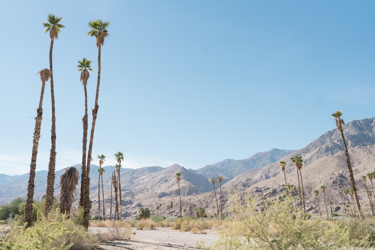 hannah-eric-landscapes-23