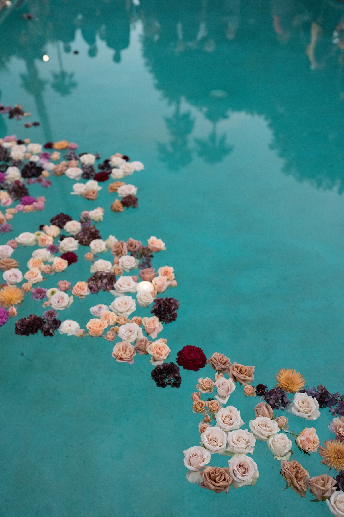 floating roses in pool 