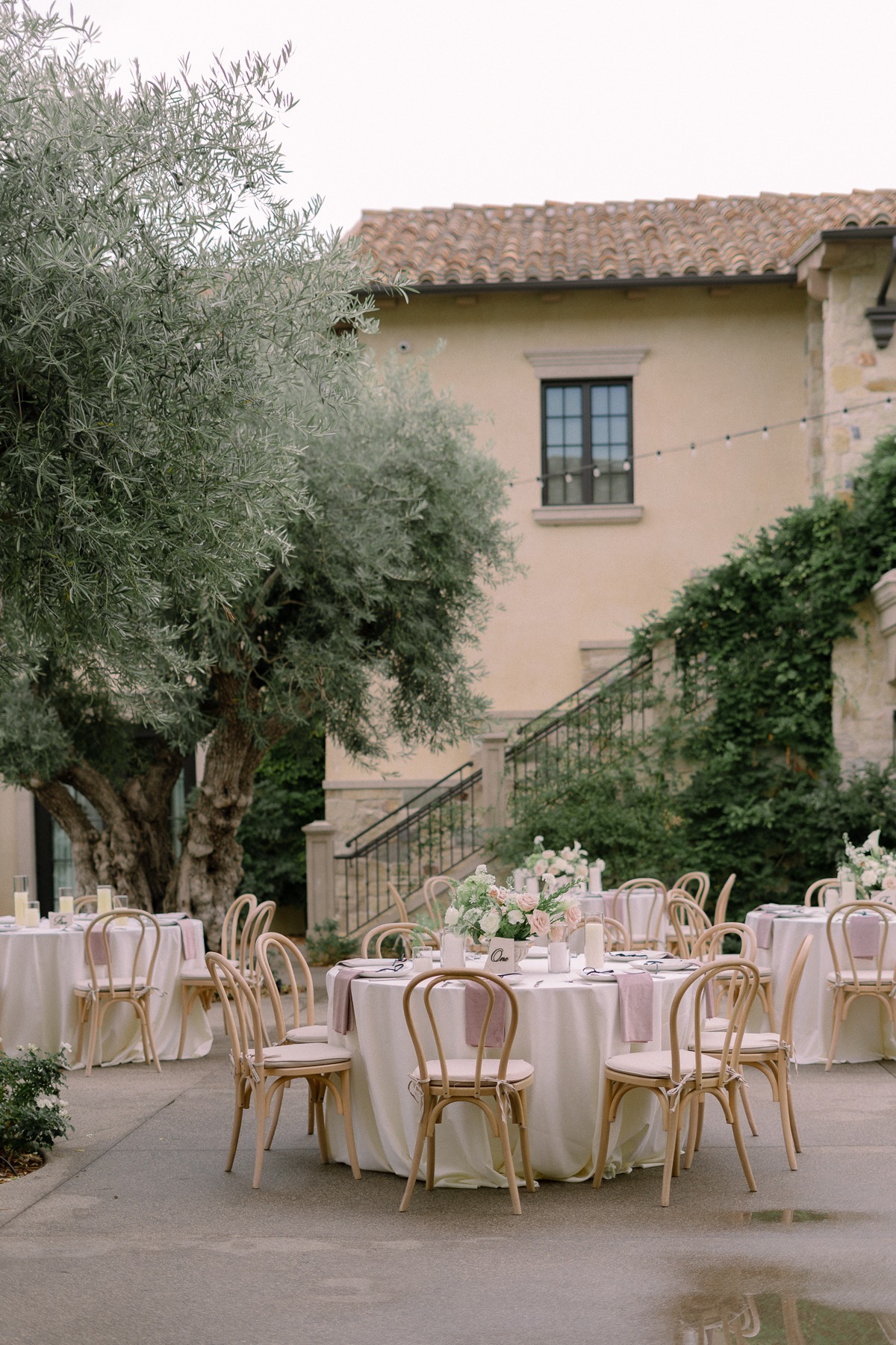 dusty rose and ivory wedding ideas