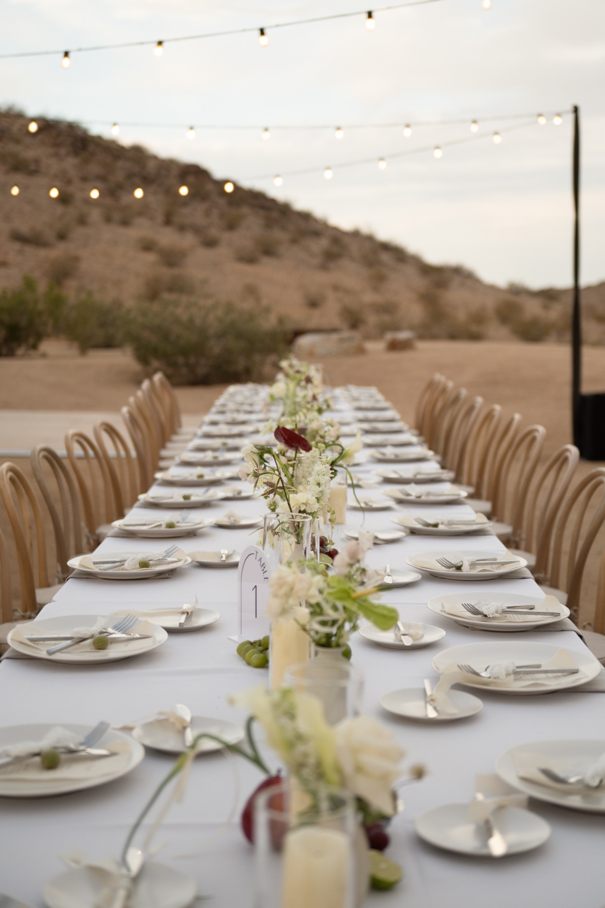 reception-10