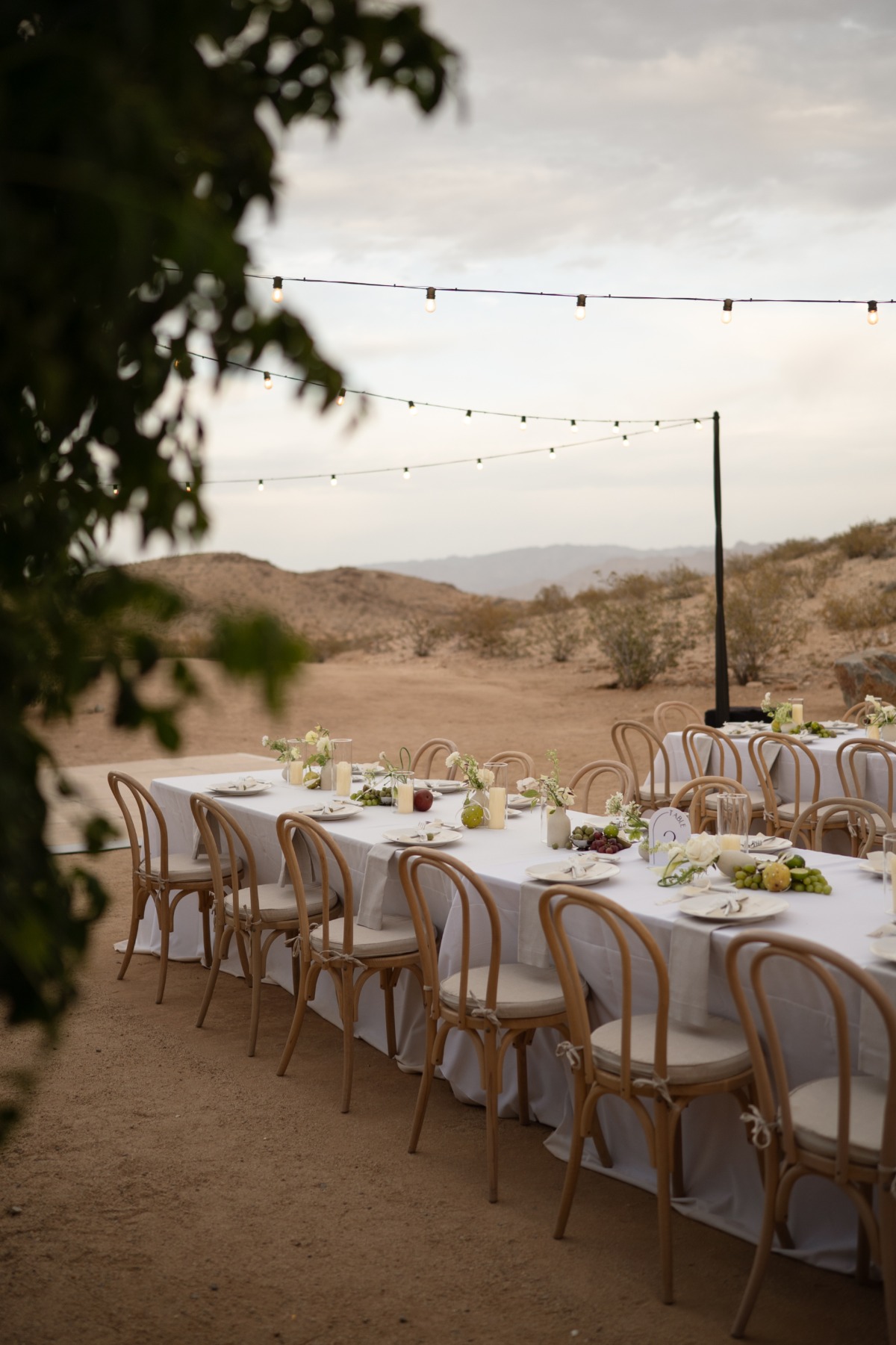 reception-15