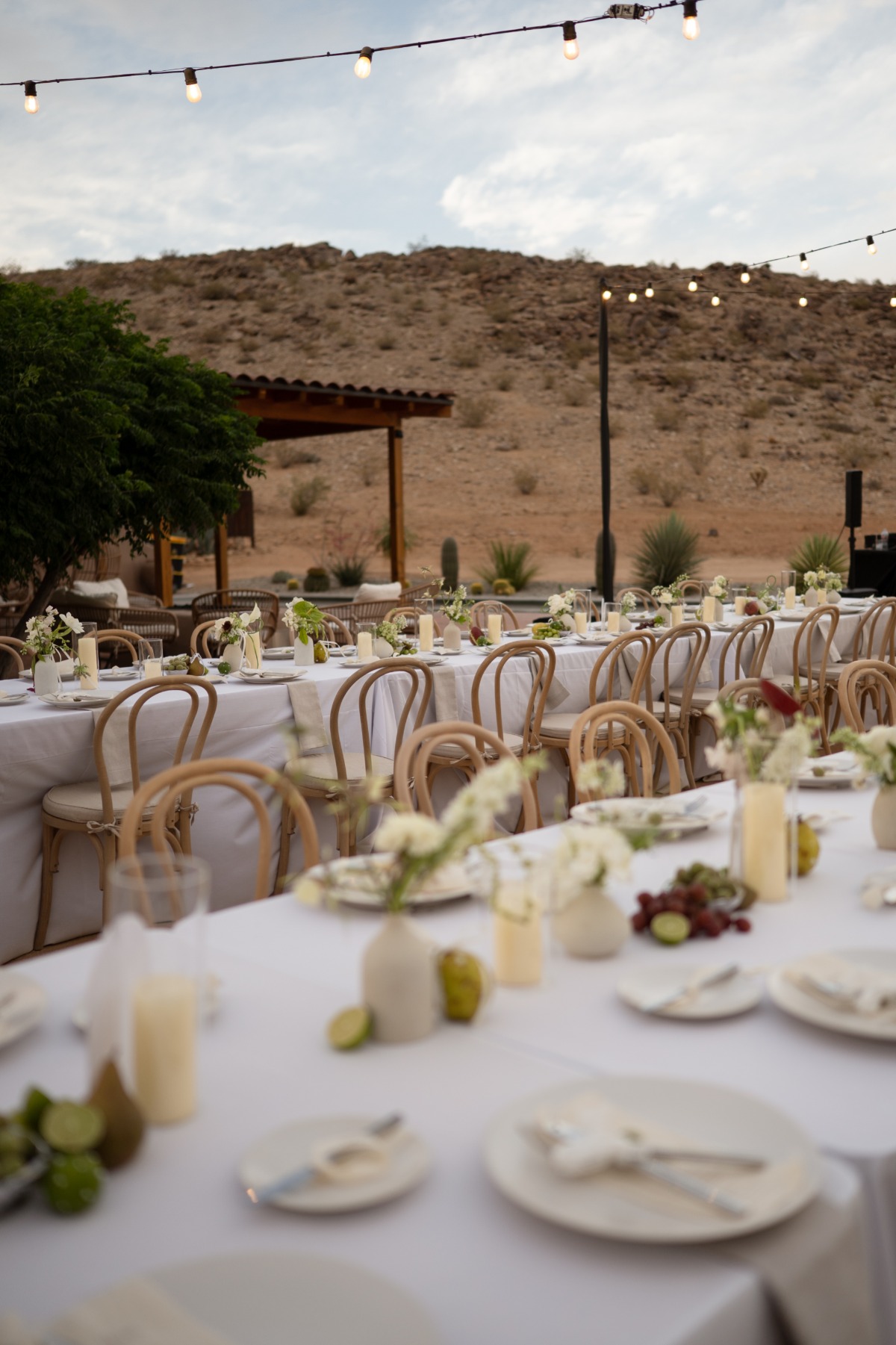 reception-5