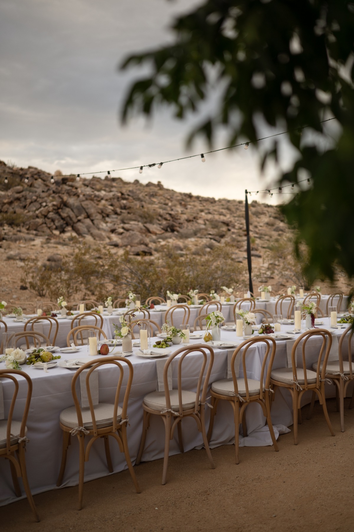 desert wedding reception