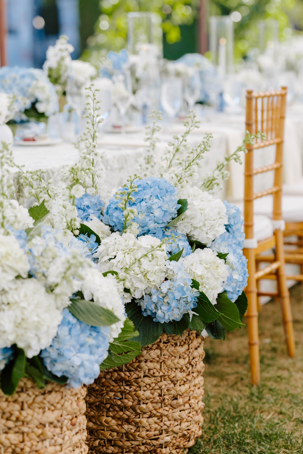 blue and white hydrangea baskets