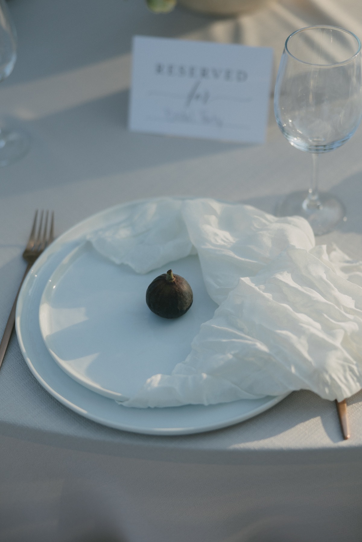 wedding setting all white with single fig