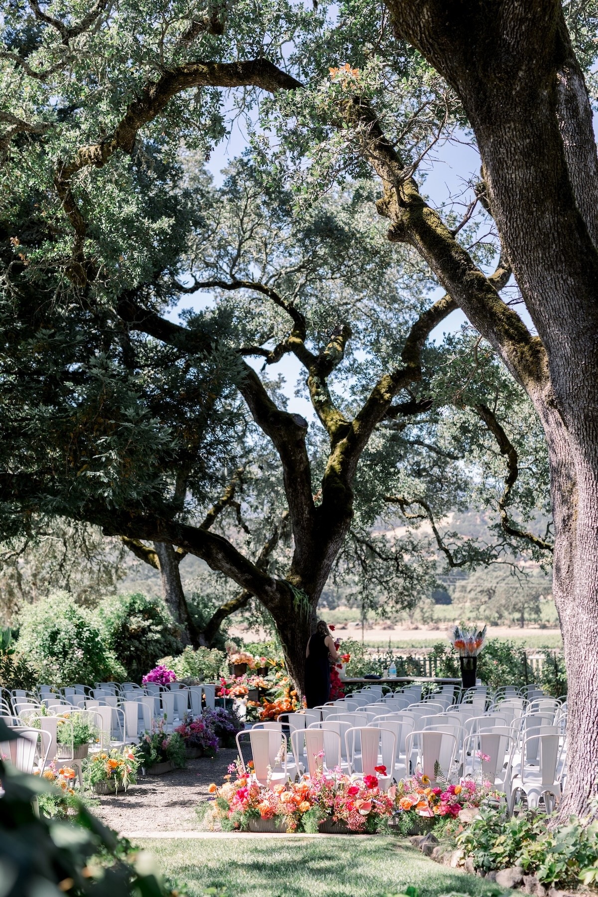colorful wedding ceremony under a tree
