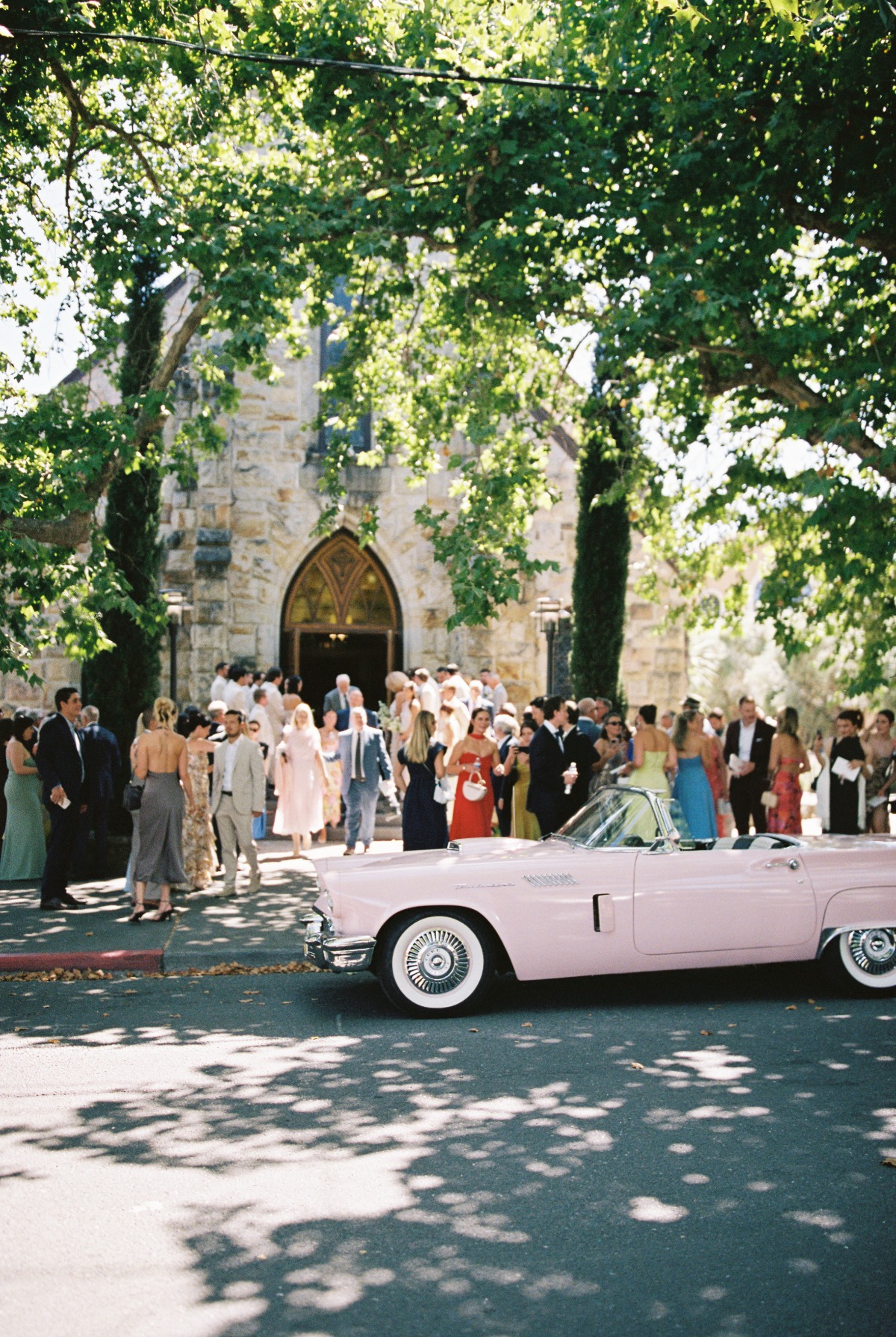 pink car rental california