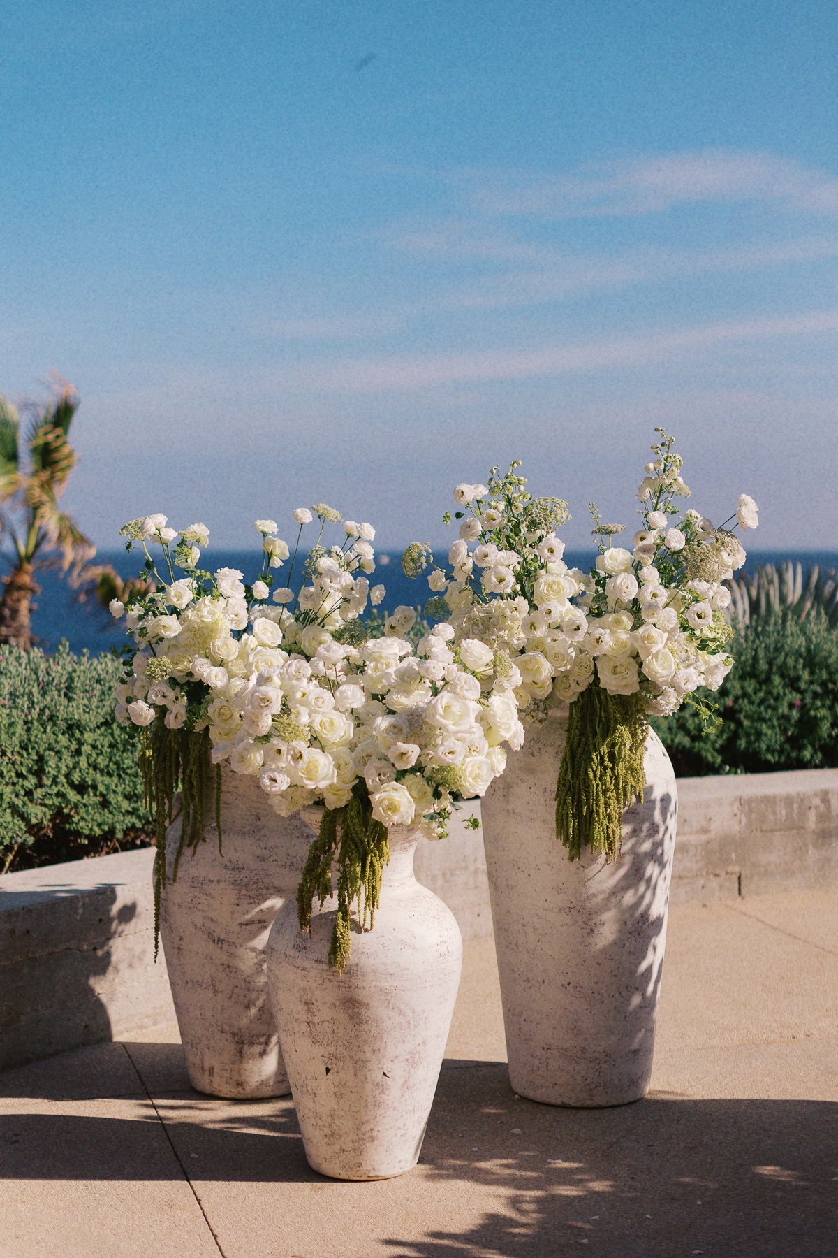 potted white flowers for wedding