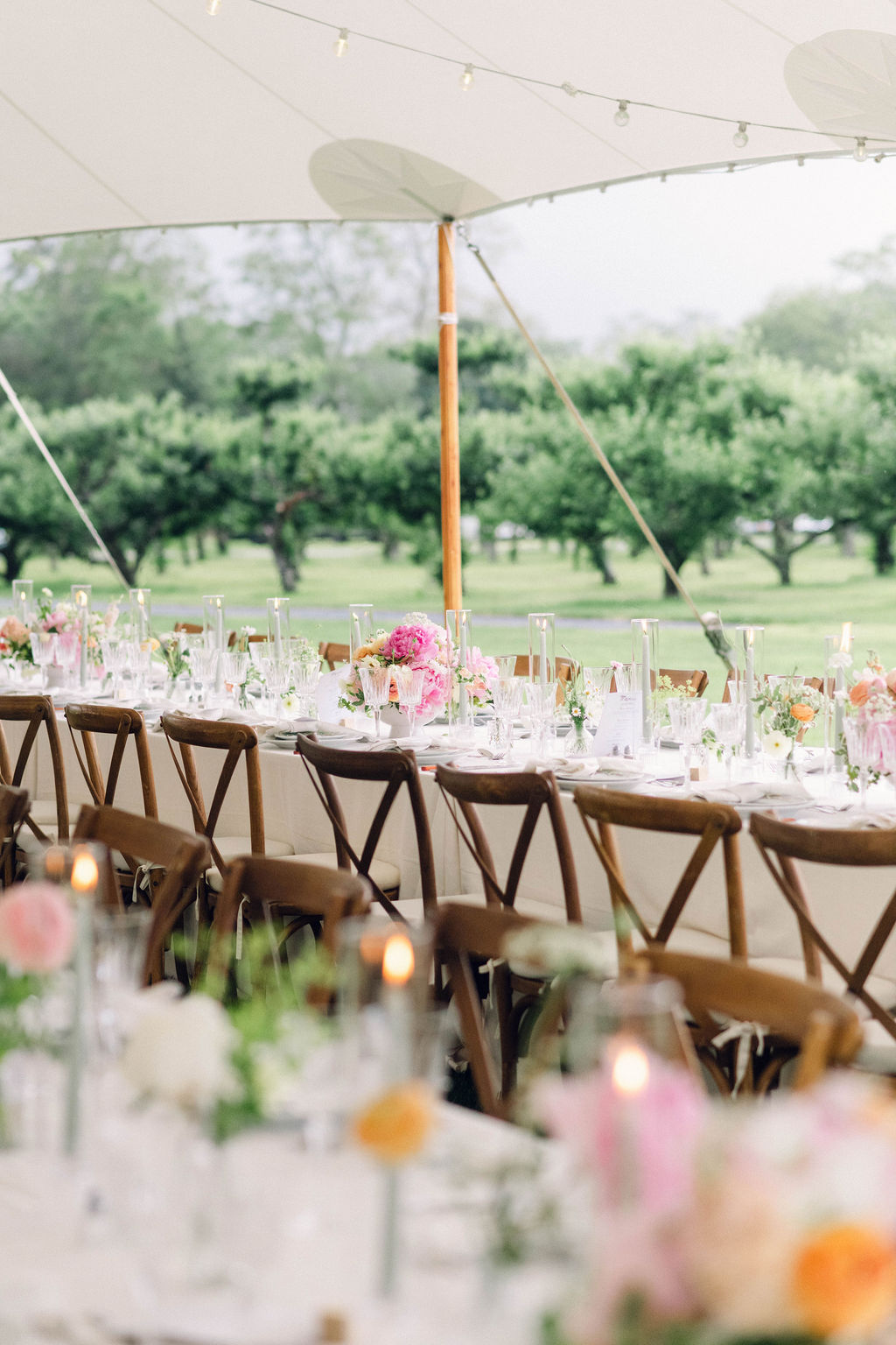 elegant and rustic tented reception