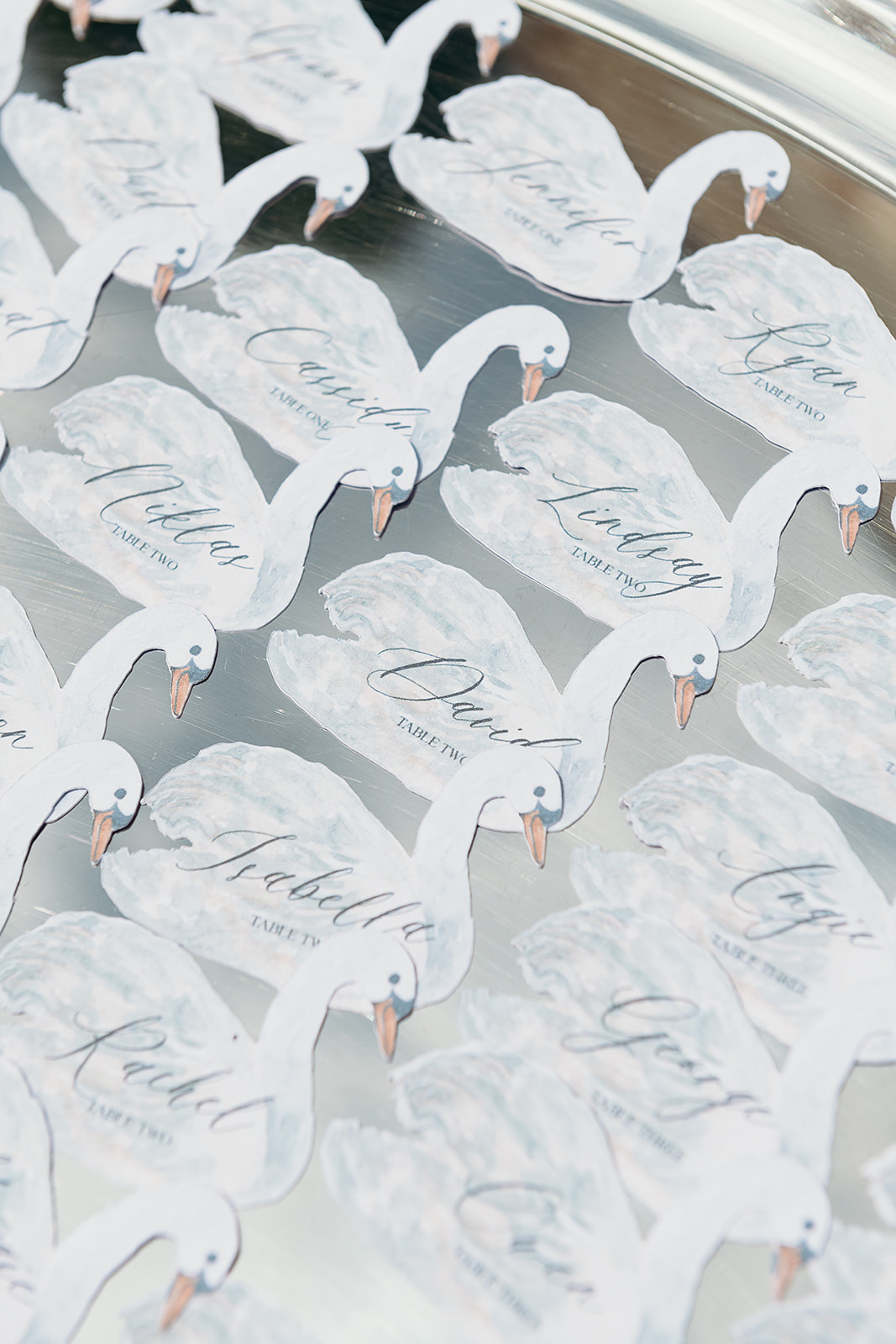 swan place cards