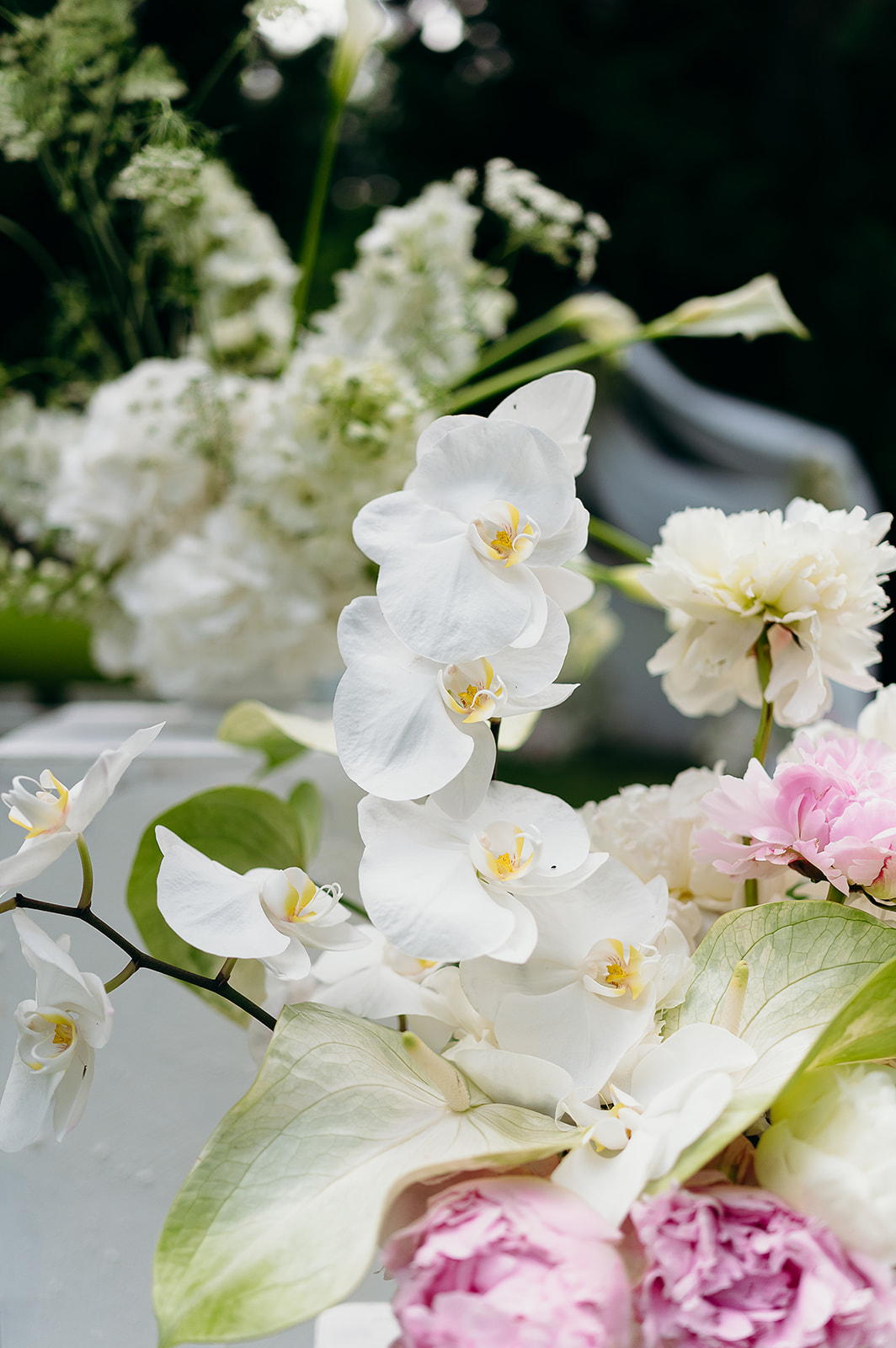 mariage_reedjay_cleyaasulon-8819_websize