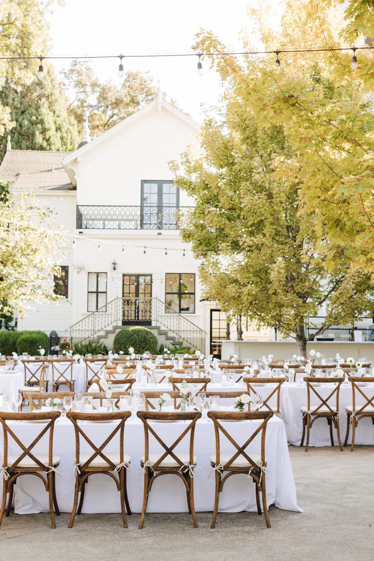 park-winters-wedding-clay-shauna-previews-ashley-carlascio-photography-24