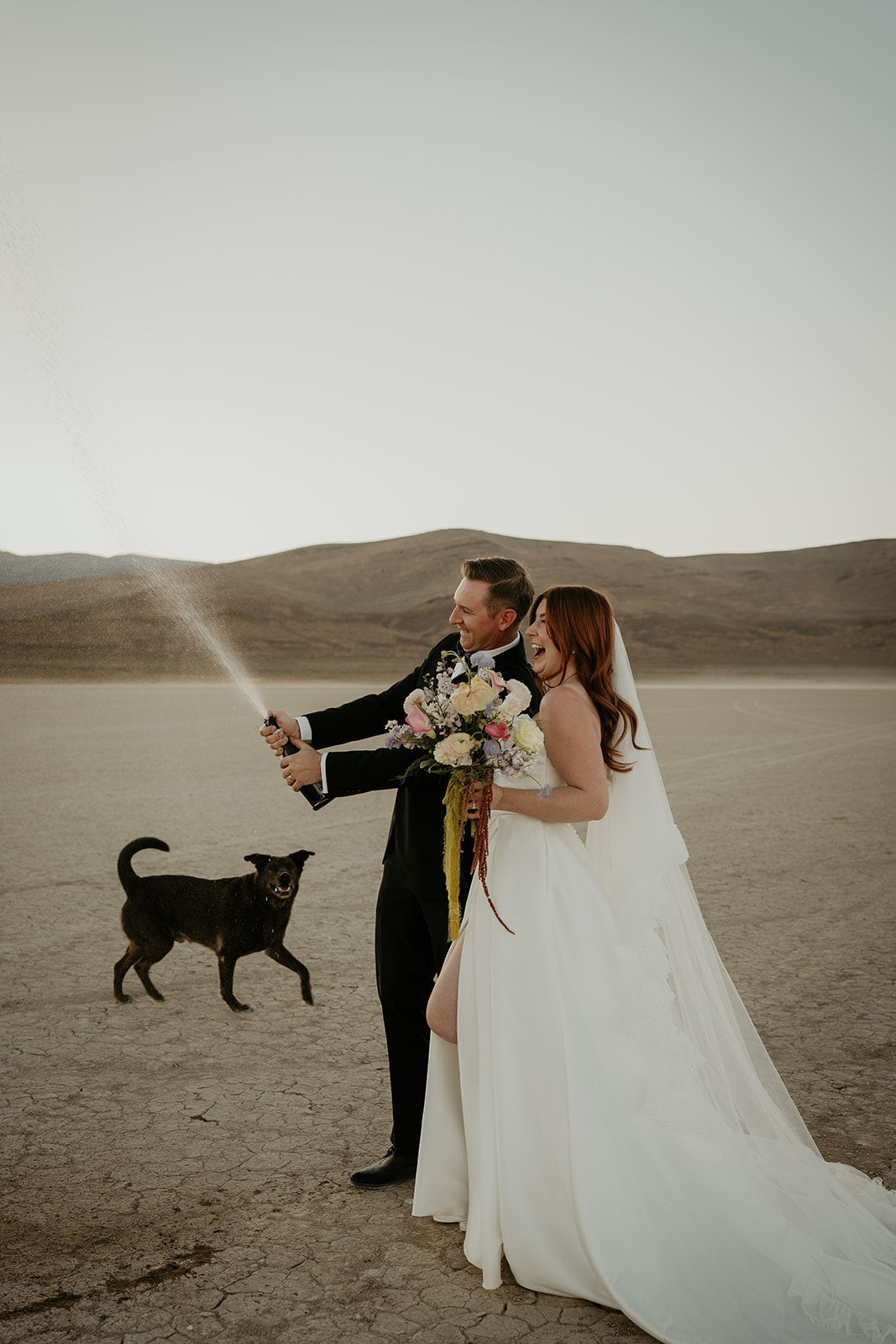 desert champagne toast