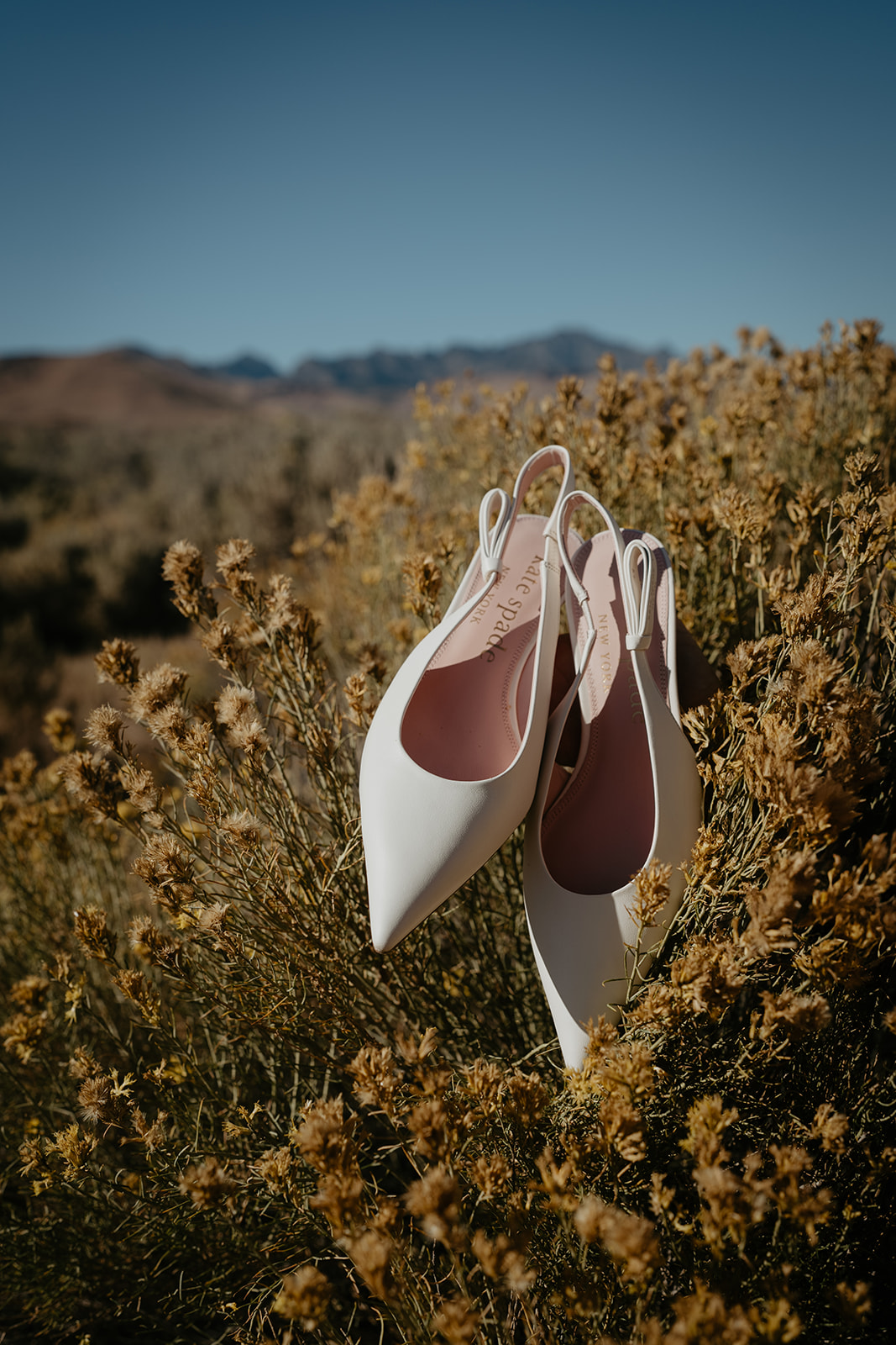 alvord-desert-elopement-leah-kevin-96_websize