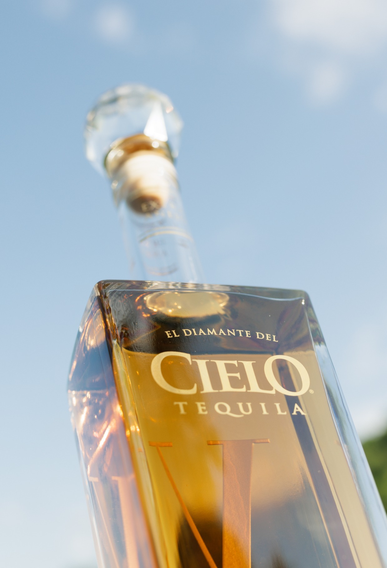 cielo tequila for valentines day