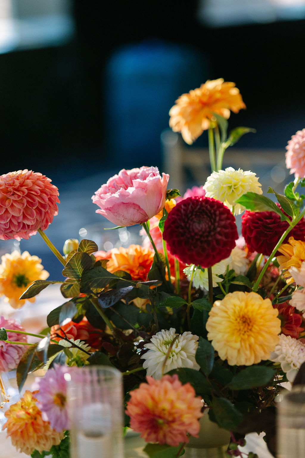 dm_wedding-564