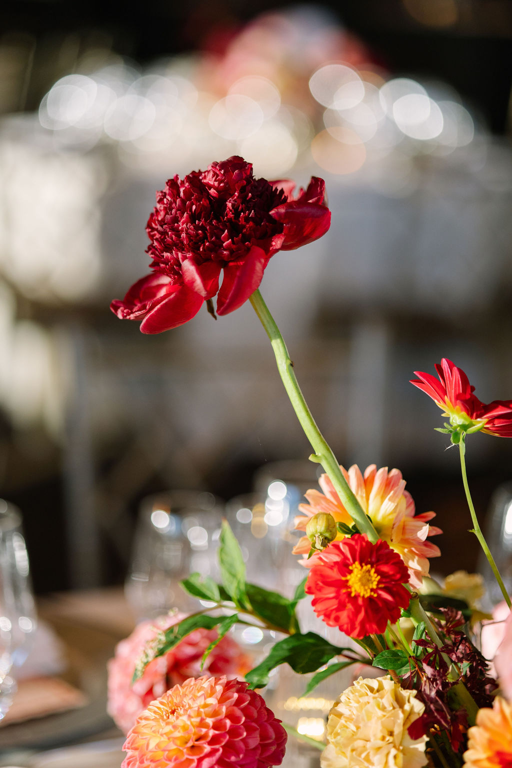 dm_wedding-569