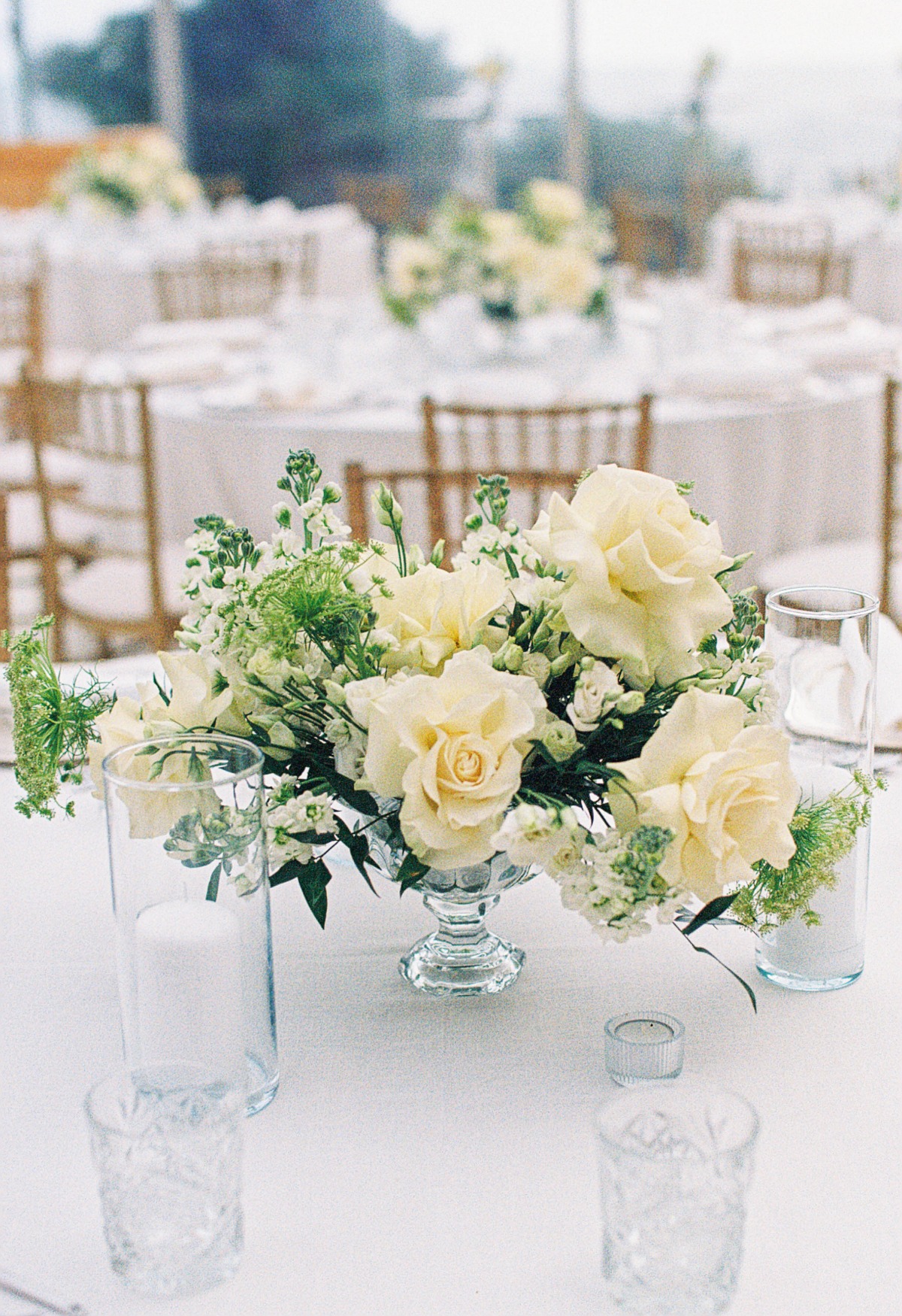 meredith-ryan-selects-west-rose-photography-042