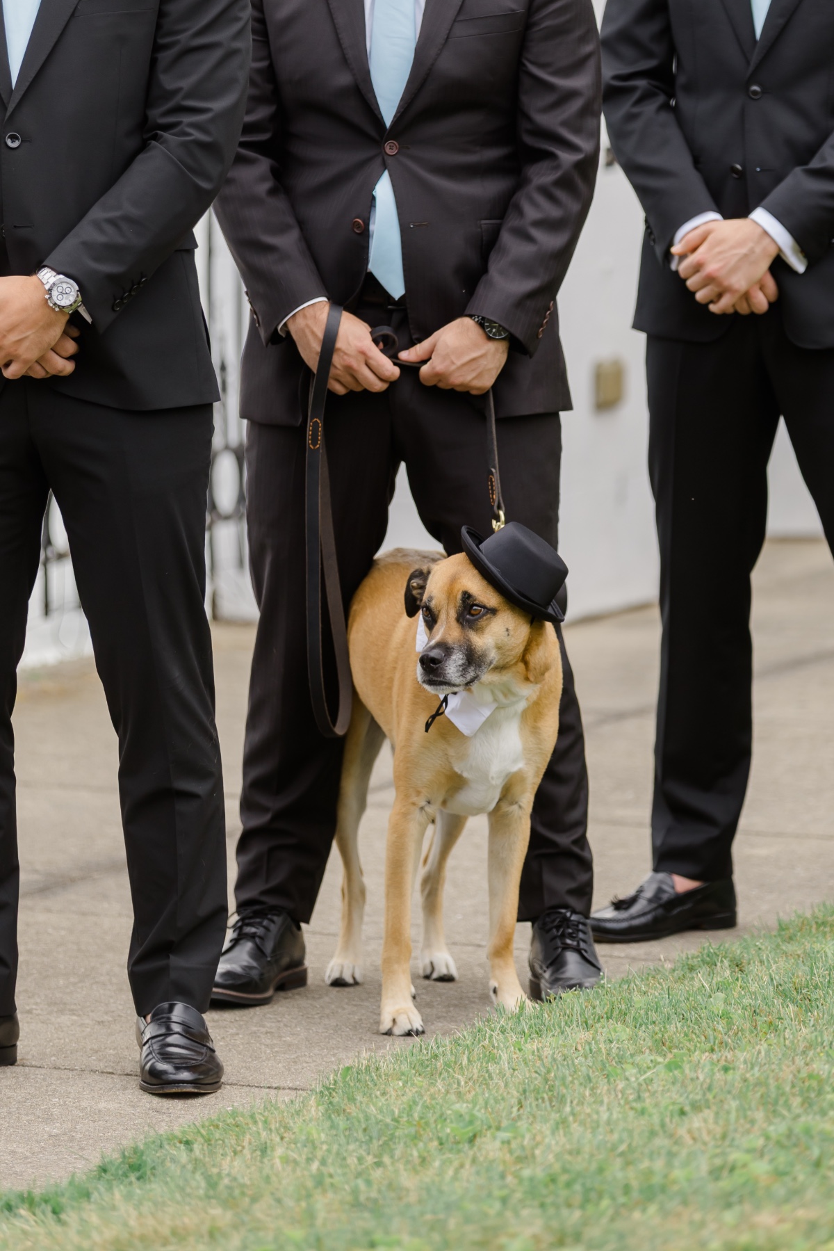 dog with hat on at wedding