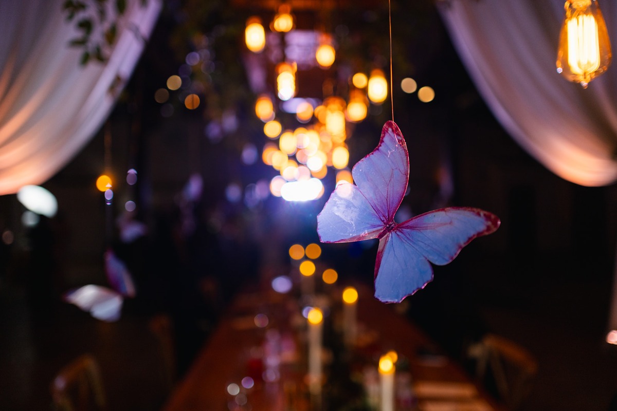 butterfly decor